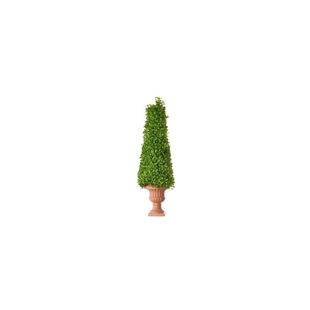 TOPIARY BOXWOOD 70 CM
